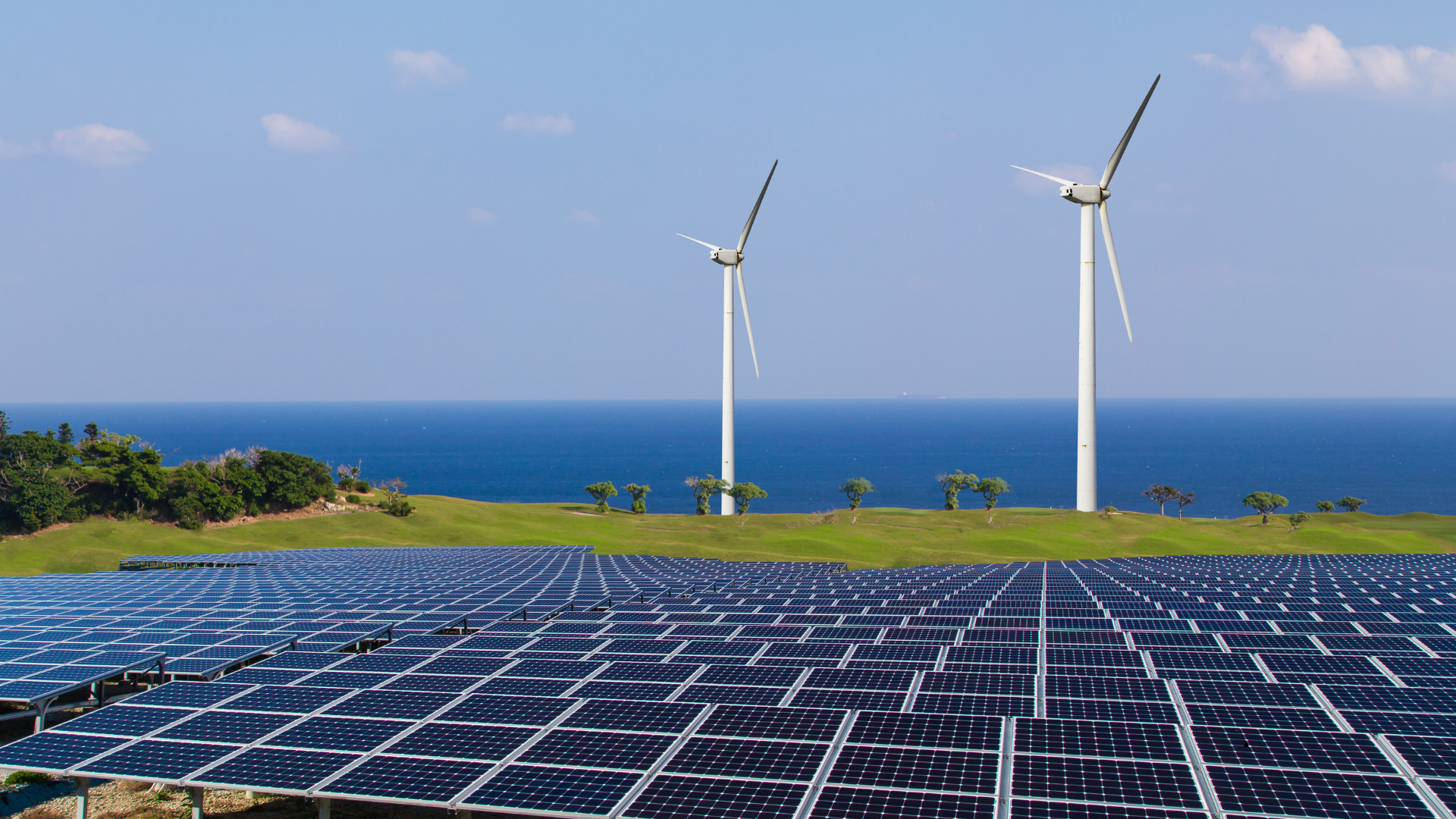 Renewable Energy